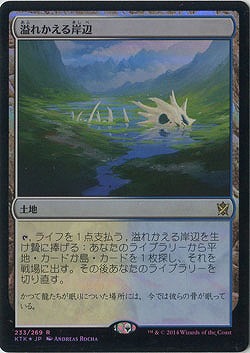 溢れかえる岸辺(foil) 【KT233-269Rf】